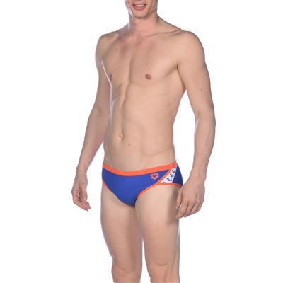 Arena Men's Team Stripe MaxLife Brief Swimsuit 